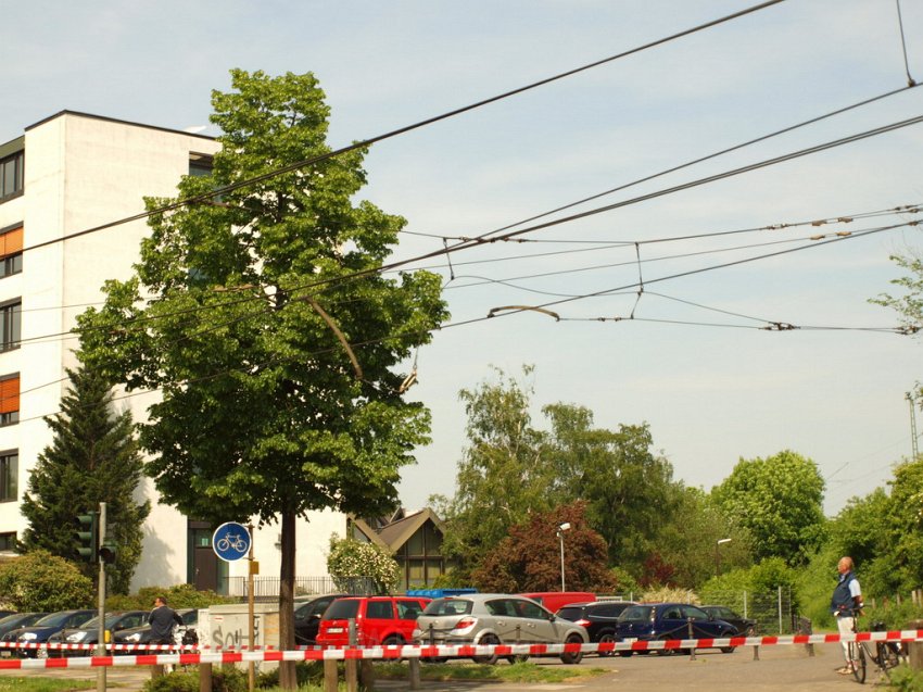 LKW riss Oberleitung ab Koeln Deutz Am Schnellert Siegburgerstr P049.JPG